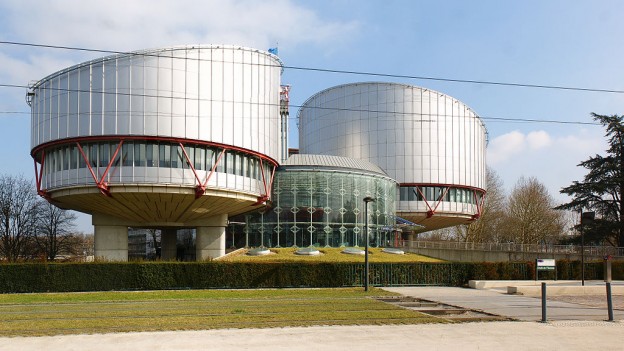 c3f5a14a354d66404605a38a4f7906921024px-european-court-of-human-rightsjpeg.jpeg